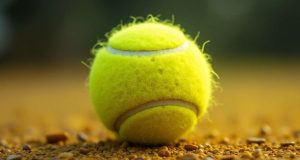 ¿Por qué las pelotas de tenis son amarillas? Descubre su historia y significado ¿Por qué las pelotas de tenis son amarillas? Descubre su historia y significado