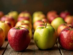 Consejos efectivos para conservar manzanas por más tiempo Consejos efectivos para conservar manzanas por más tiempo
