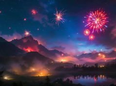Fuegos artificiales: el peligro oculto para el medio ambiente Fuegos artificiales: un peligro subestimado para el medio ambiente